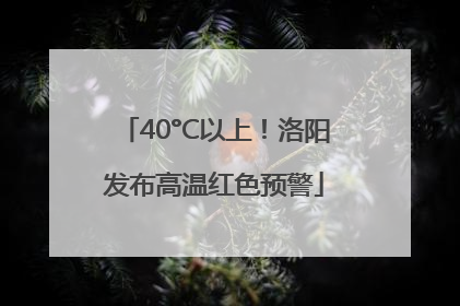 40°C以上！洛阳发布高温红色预警