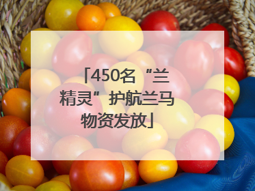 450名“兰精灵”护航兰马物资发放