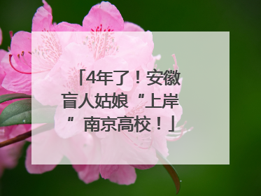 4年了！安徽盲人姑娘“上岸”南京高校！