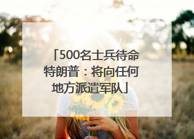 500名士兵待命 特朗普：将向任何地方派遣军队