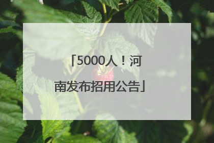 5000人！河南发布招用公告
