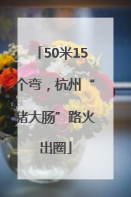 50米15个弯，杭州“猪大肠”路火出圈