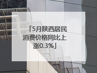 5月陕西居民消费价格同比上涨0.3%