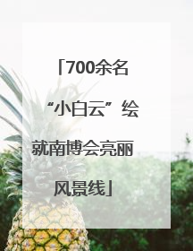 700余名“小白云”绘就南博会亮丽风景线