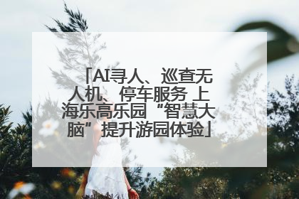 AI寻人、巡查无人机、停车服务 上海乐高乐园“智慧大脑”提升游园体验