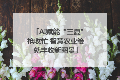 AI赋能“三夏”抢收忙 智慧农业绘就丰收新图景