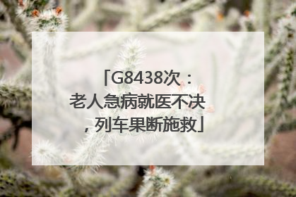 G8438次：老人急病就医不决，列车果断施救