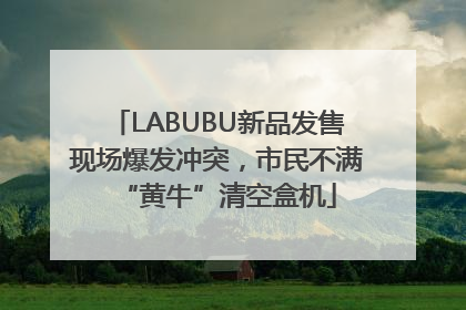 LABUBU新品发售现场爆发冲突，市民不满“黄牛”清空盒机