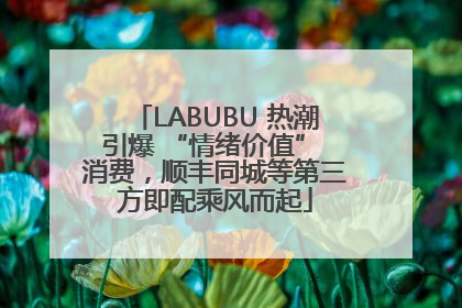 LABUBU 热潮引爆 “情绪价值” 消费，顺丰同城等第三方即配乘风而起