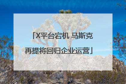 X平台宕机 马斯克再提将回归企业运营