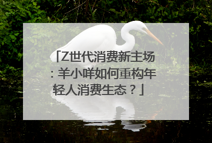 Z世代消费新主场：羊小咩如何重构年轻人消费生态？